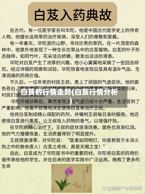 白芨的行情走势(白芨行情分析)
