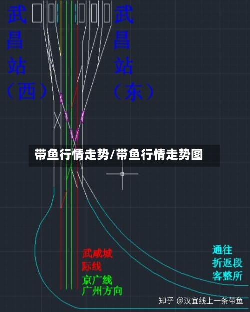 带鱼行情走势/带鱼行情走势图