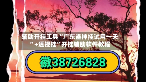 辅助开挂工具“广东雀神挂试用一天”+透视挂”开挂辅助软件教程