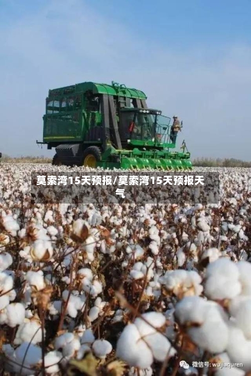 莫索湾15天预报/莫索湾15天预报天气