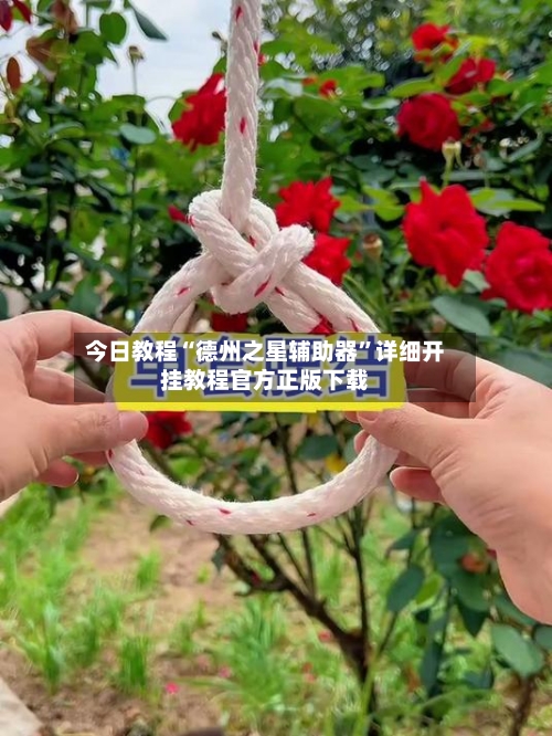 今日教程“德州之星辅助器”详细开挂教程官方正版下载