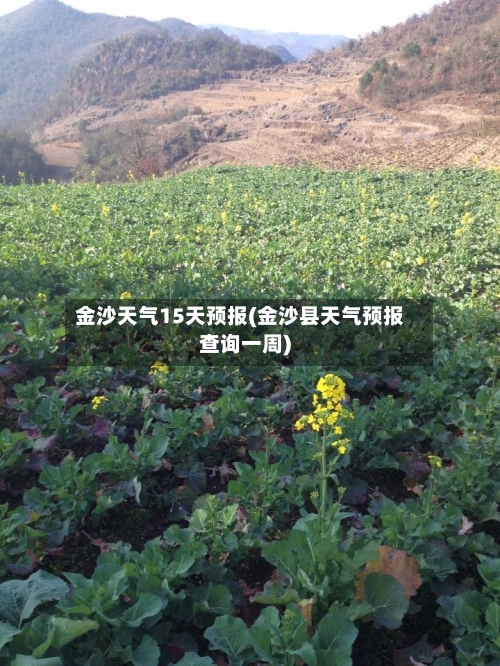 金沙天气15天预报(金沙县天气预报查询一周)