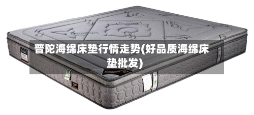 普陀海绵床垫行情走势(好品质海绵床垫批发)