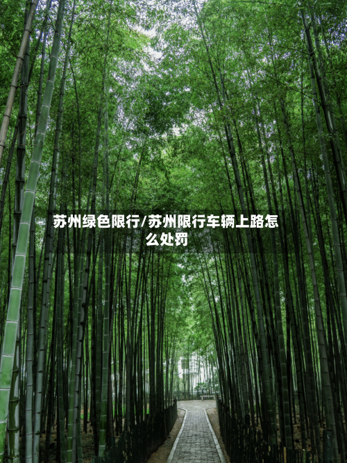 苏州绿色限行/苏州限行车辆上路怎么处罚