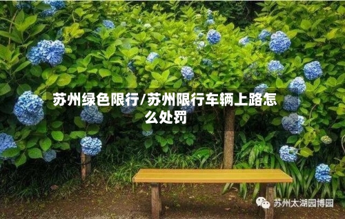 苏州绿色限行/苏州限行车辆上路怎么处罚