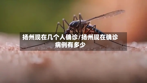扬州现在几个人确诊/扬州现在确诊病例有多少