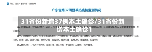 31省份新增37例本土确诊/31省份新增本土确诊1