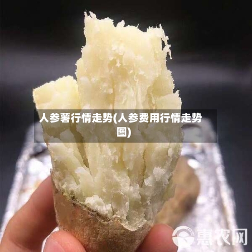 人参薯行情走势(人参费用行情走势图)