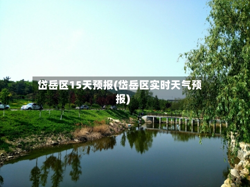 岱岳区15天预报(岱岳区实时天气预报)
