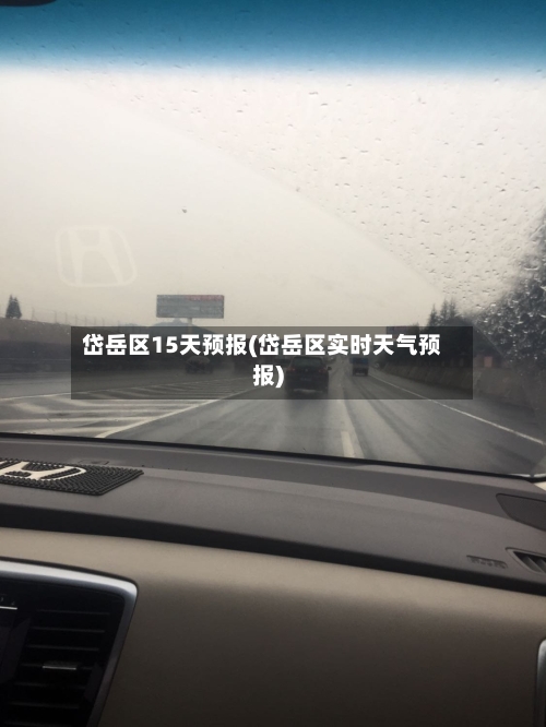 岱岳区15天预报(岱岳区实时天气预报)