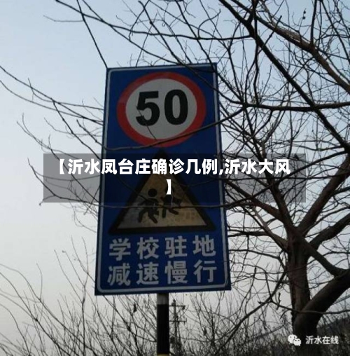 【沂水凤台庄确诊几例,沂水大风】