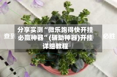分享实测“微乐跑得快开挂必赢神器”(辅助神器)开挂详细教程