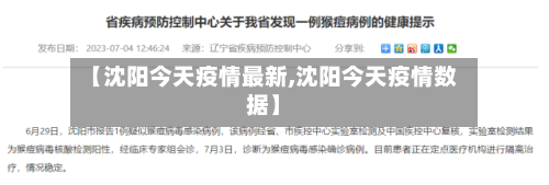 【沈阳今天疫情最新,沈阳今天疫情数据】