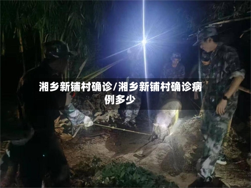 湘乡新铺村确诊/湘乡新铺村确诊病例多少