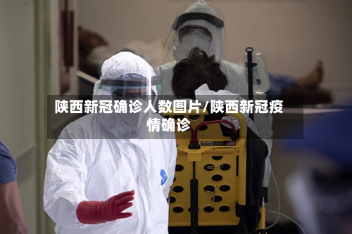 陕西新冠确诊人数图片/陕西新冠疫情确诊