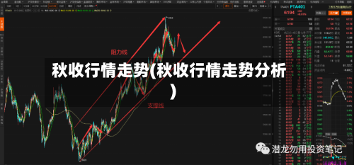 秋收行情走势(秋收行情走势分析)