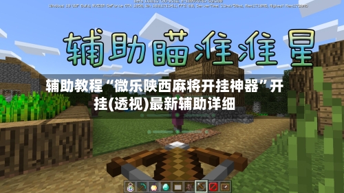 辅助教程“微乐陕西麻将开挂神器”开挂(透视)最新辅助详细