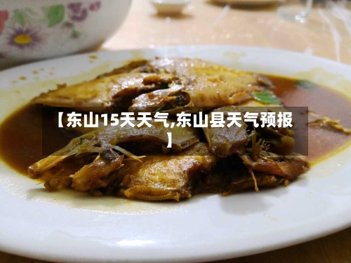 【东山15天天气,东山县天气预报】