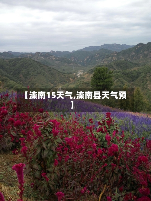 【滦南15天气,滦南县天气预】