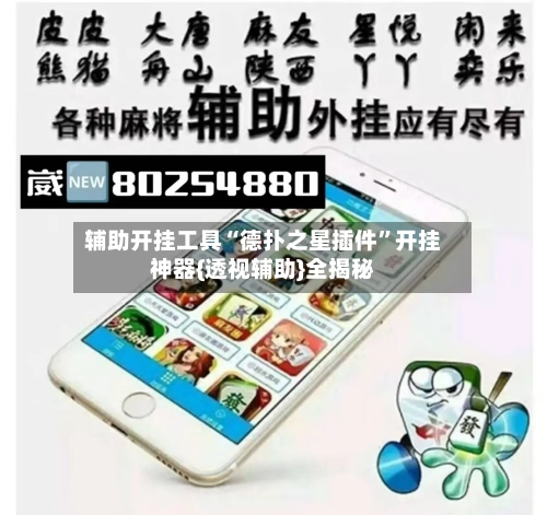 辅助开挂工具“德扑之星插件”开挂神器{透视辅助}全揭秘