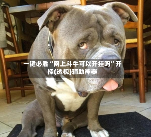 一键必胜“网上斗牛可以开挂吗”开挂(透视)辅助神器