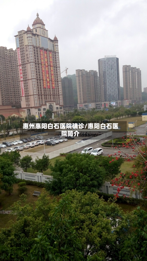 惠州惠阳白石医院确诊/惠阳白石医院简介