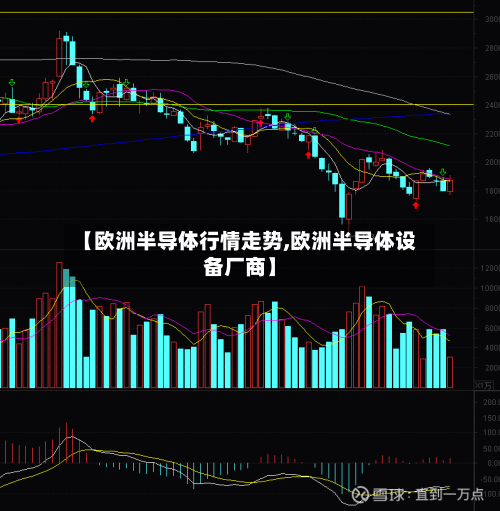 【欧洲半导体行情走势,欧洲半导体设备厂商】