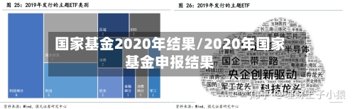 国家基金2020年结果/2020年国家基金申报结果