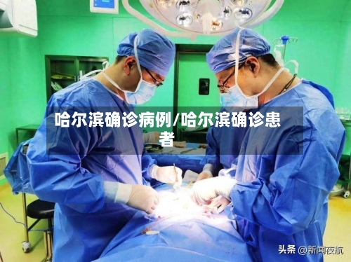 哈尔滨确诊病例/哈尔滨确诊患者