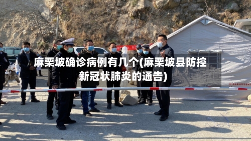 麻栗坡确诊病例有几个(麻栗坡县防控新冠状肺炎的通告)
