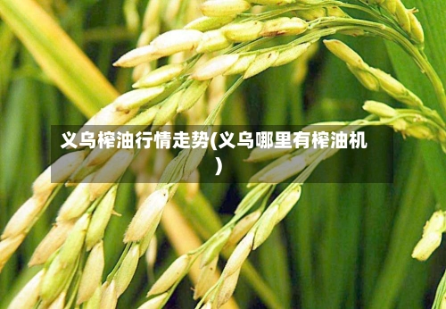 义乌榨油行情走势(义乌哪里有榨油机)