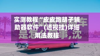 实测教程“皮皮跑胡子辅助器软件”(透视挂)详细用法教程