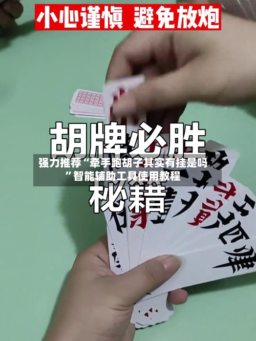 强力推荐“牵手跑胡子其实有挂是吗”智能辅助工具使用教程