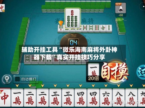 辅助开挂工具“微乐海南麻将外卦神器下载”真实开挂技巧分享