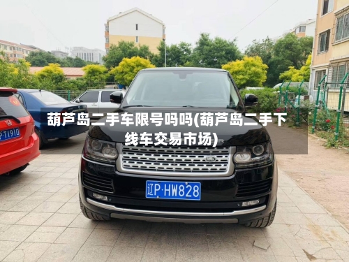 葫芦岛二手车限号吗吗(葫芦岛二手下线车交易市场)