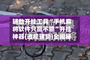 辅助开挂工具“手机麻将软件只赢不输”开挂神器{透视辅助}全揭秘