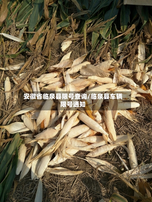 安徽省临泉县限号查询/临泉县车辆限号通知