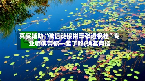 真实辅助“微信链接拼三张透视挂”专业师傅带你一起了解(确实有挂