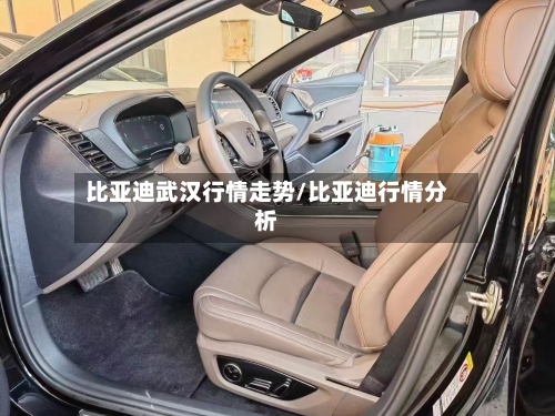 比亚迪武汉行情走势/比亚迪行情分析