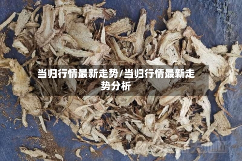 当归行情最新走势/当归行情最新走势分析