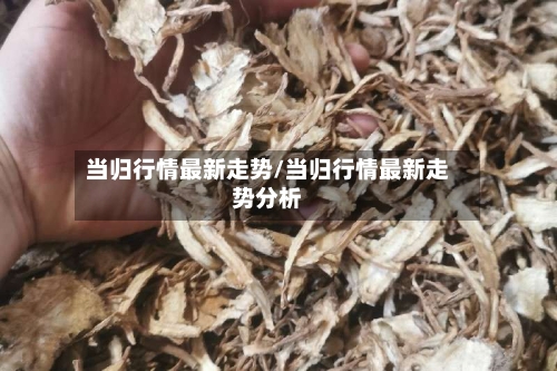 当归行情最新走势/当归行情最新走势分析