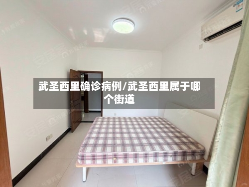 武圣西里确诊病例/武圣西里属于哪个街道