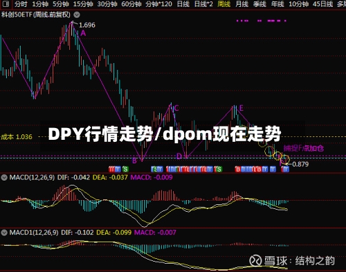 DPY行情走势/dpom现在走势