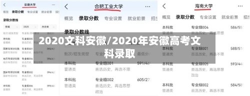 2020文科安徽/2020年安徽高考文科录取