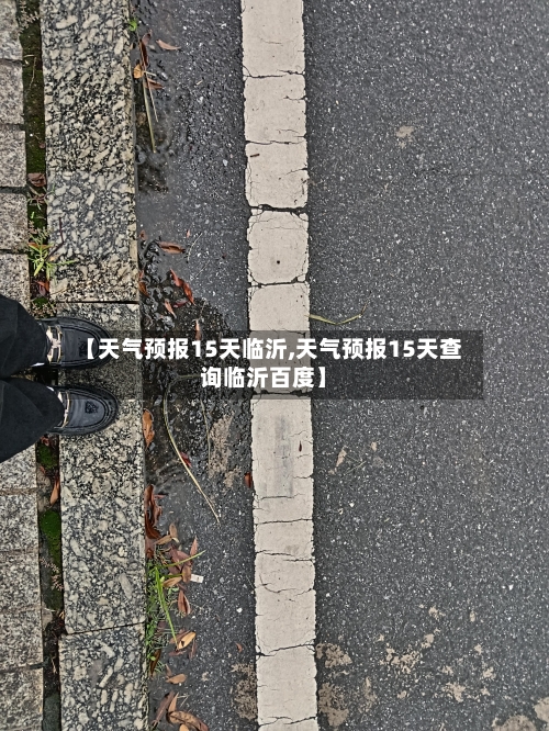 【天气预报15天临沂,天气预报15天查询临沂百度】