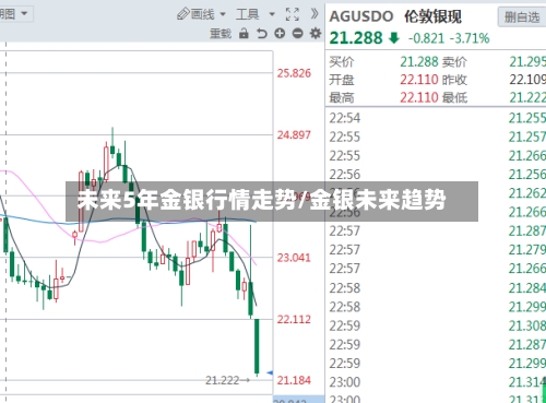 未来5年金银行情走势/金银未来趋势