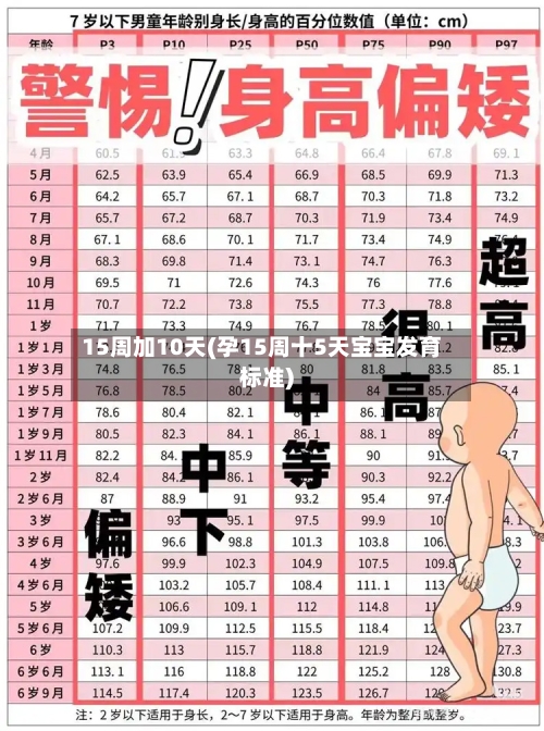 15周加10天(孕15周十5天宝宝发育标准)