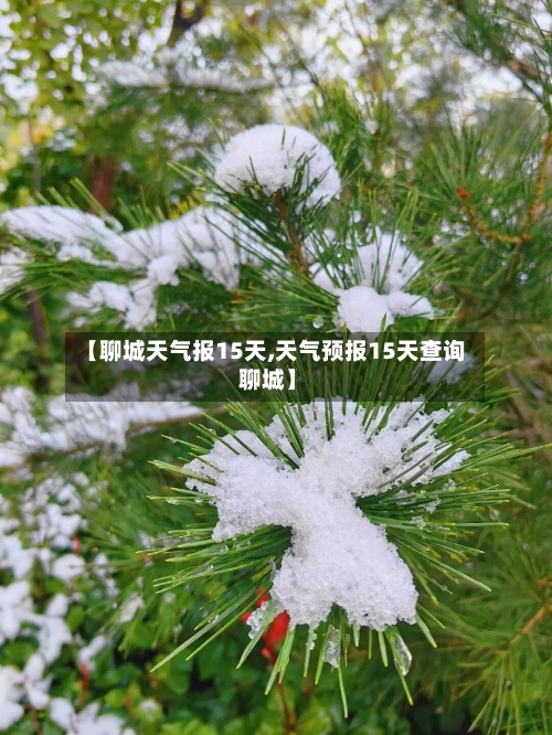 【聊城天气报15天,天气预报15天查询 聊城】