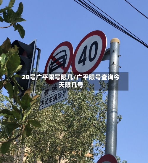 28号广平限号限几/广平限号查询今天限几号