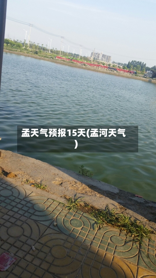 孟天气预报15天(孟河天气)
